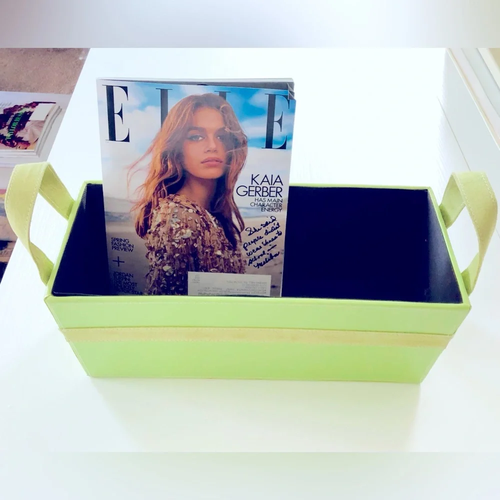 Apple green multipurpose Storage tote Top stitched faux suede trim 15 x 6 x 6